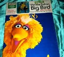 "Pin" the Tail on Big Bird