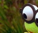 Goggles