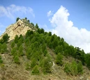 Moose Hill