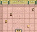 Fuchsia City Gym