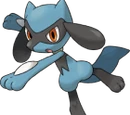 Riolu