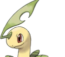 Pokemon: Grass