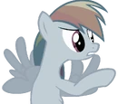 D DASH
