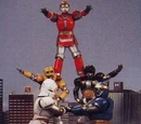 Beast General Fighters