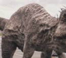 Giganotosaurus