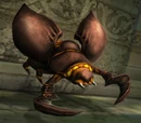 Scarab