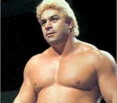 Dino Bravo