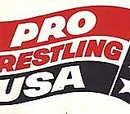 Pro Wrestling USA