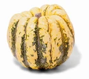 Gourd