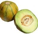 Ogen melon
