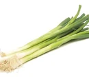 Green onion