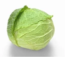 Savoy cabbage