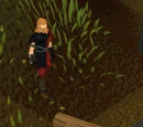 Agility