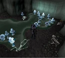 Haunted Mine