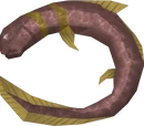Short-finned eel