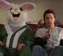 Images from My Rabbit