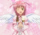 Angel Wink