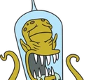 Kang