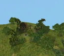 Mystery Shack