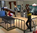 The Sims 2: Apartment Life