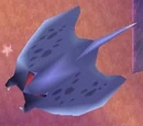 Manta Ray
