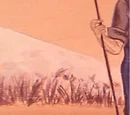 Grain