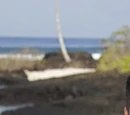Jonas Otsuji