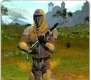 Crusader armor
