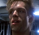 Punk (Thompson)