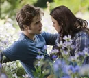 Gallery:Eclipse movie screenshots