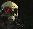 Servo-skull