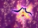 Musa Enchantix.jpg