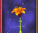 Tiger Lily