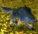 Mangy Wolf