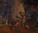 Jadefire Run