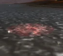 Pool of Blood