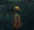 Hollowed Out Tree