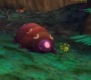 Bombyx