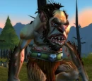 Stonesplinter Shaman