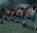 Bonepaw Hyena