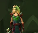 Eclipsion Soldier