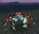 Surf Crawler