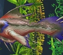 Hook of the Master Angler