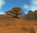 Northern Barrens
