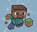 Mr. Minecraft