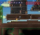 Known Bugs And Glitches