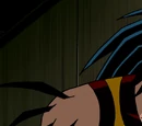 Porcupine