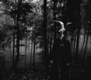 The Tale of Robert Elm