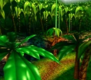 Jungle Japes