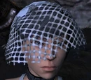 Item: Wedding Veil